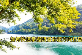 如何快速掌握阴道彩超方向及扫查方法。视频封面