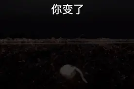 狗子你变了视频封面