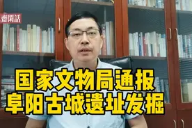 国家文物局通报，阜阳古城遗址发掘存在三大违规问题。视频封面