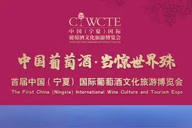 在这里中华文化和葡萄酒文化有机结合，沉淀出了中国园林式葡萄酒庄——志辉源石酒庄。#中国葡萄酒当惊世界殊 #动感体验神奇宁夏 视频封面