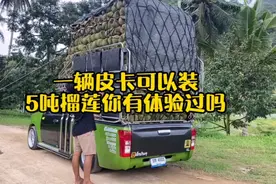 泰国皮卡，可以装4-5吨货，国内的皮卡能允许装这么多吗？视频封面