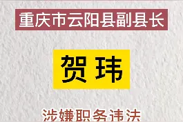 重庆市云阳县副县长贺玮涉嫌职务违法接受监察调查#最新消息 #权威发布视频封面