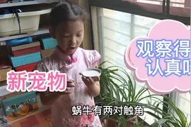 新宠——小蜗牛，女儿观察的时候说了啥？有点让妈妈感到意外。视频封面