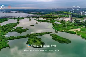 石家庄市八年来地下水位持续回升约10米，生态环境越来越好，视频封面
