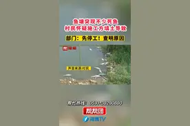 鱼塘突现不少死鱼，村民怀疑施工方填土导致，部门：先停工！查明原因
