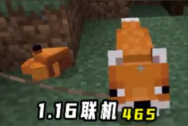 我的世界1.16联机465：老迪搞定狼和狐狸，成双成对只差4种动物 #我的世界视频封面