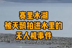 赛里木湖被天鹅拍打进无人机的时间，有些人就是手贱！#赛里木湖 #赛里木湖天鹅无人机 #新疆旅游视频封面