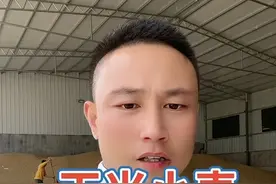 5月24号山东玉米深加工厂晨间剩余车辆320多台价格基本稳定！小麦涨落互现  山东天力药业有限公司自2023年05月24日08：00起玉米采购价格下调3厘：1.372元/斤（水份≤20%）  思丰原粮部通知：今天普麦价格为1.395元。落5厘 优麦价格为1.48元！ 新普麦价格为1.35元。 新优麦价格为1.43元（水分超12.5拒收）。其它标准不变。 2023.5.24日  通知:邢台金沙河  陈麦价格1.38元/斤 23年新麦价格1.34元/斤 #山东粮信通为你报行情 #粮心通粮食专业买卖平台 #粮食市场实地调研直播视频封面