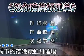 其实人孤独时，渴望的只是一份陪伴；心脆弱时视频封面
