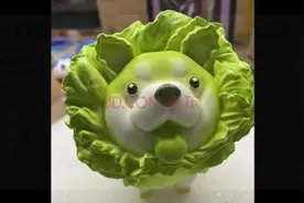 收集了一些近期诺安成长混合评论区的段子哈哈哈视频封面