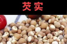 中药芡实功效和作用视频封面