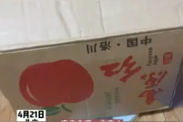 北京市民买苹果空箱子重2.7公斤，撕开一看灌了水泥 #苹果  #水泥箱