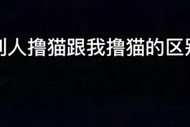 撸猫？人撸猫，猫也得撸人，老铁们，你们觉得呢？视频封面