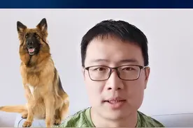 33万买淘汰警犬能干啥？戒烟、减肥 、鉴别假茅台！ #淘汰警犬  #抖音知识直播扬帆计划  @DOU+小助手 视频封面