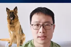 33万买淘汰警犬能干啥？戒烟、减肥 、鉴别假茅台！ #淘汰警犬  #抖音知识直播扬帆计划  @DOU+小助手 视频封面