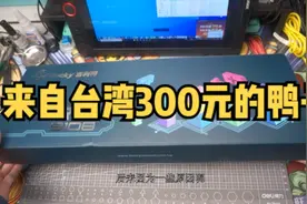 【皮特邱】300元价位的鸭子 首发评测 来自ducky的性价比键盘zero