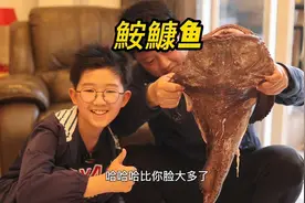 #好样说虫子 鮟鱇鱼，头上有灯的鱼，对的，今天中午吃它！视频封面