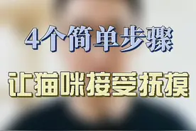 猫咪平时不让摸怎么办，4个简单步骤，一周内让猫咪接受#萌宠 #养猫养猫 视频封面