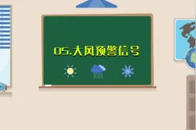 上海市大风预警信号分四级，分别以蓝色、黄色、橙色、红色表示视频封面