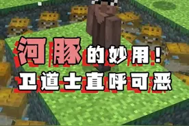  #我的世界  #我的世界minecraft 河豚的妙用！卫道士都感动哭了…