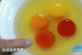 蛋黄颜色发红，因为鸡饲料里含有更多虾青素！#三农小知识 #科普 @抖音青少年视频封面