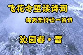 每天坚持读一首诗，享受古诗词的魅力！《沁园春.春》毛泽东视频封面