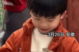 “他为什么不怕啊！”萌娃徒手抓蛙玩，爸爸吓得跑出两米远（来源@方天宇 ）#人类幼崽成长记 #萌娃 #万万没想到 #这操作也是没谁了😂😂 #猝不及防 @抖音短视频视频封面