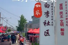 阔别三年的庙会又回来了，人山人海到处人气很足，很有氛围#逛庙会 #传统文化 #抖出你的家乡 #乡村 #三月三视频封面