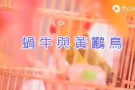 #蜗牛与黄鹂鸟视频封面