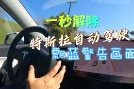 一秒解除特斯拉自动驾驶飘蓝警告#特斯拉 #自动驾驶 #新能源汽车