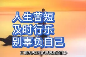 人生感悟 励志语录 人生苦短 及时行乐 别辜负自己视频封面