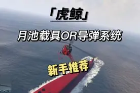 新手推荐《虎鲸》资产，你没有玩过的玩法。月池载具/麻雀