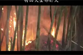 近日，福建福州海口镇突发山火，武警官兵紧急驰援。（第二机动总队 蔡子梦、高志远）视频封面
