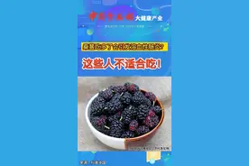 #中食报道 桑葚吃多了会引发溶血性肠炎？这些人不适合吃！#健康 #科普 #水果 #食品安全视频封面