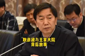 #耿彦波与王家大院的故事视频封面