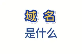 域名？网址？到底是什么东西？#前端 #网络 #域名 #网址 #网络视频封面