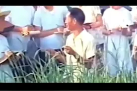 粮食之父的荣誉驾照视频封面