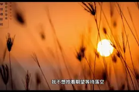很走心的干净短句文案短向干净治愈视频封面