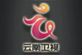 我竟然被逼着设计云南卫视的新LOGO @云南卫视 #云南卫视 #logo设计 #logo #品牌设计视频封面