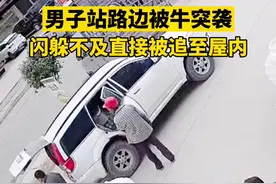 9日在广西百色，一男子站在路边时被牛突袭，闪躲不及直接被追至屋内视频封面