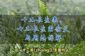 十二长生的含义与用法详解#易学智慧 #命理八字