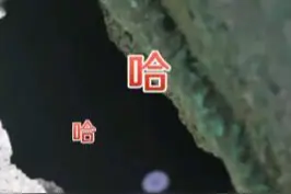 女生的手机掉进下水道，隔空喊话“小爱同学自己上来！”视频封面