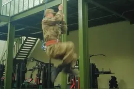 #专项训练学以致用 之侦察兵#爬绳训练，核心力量的重要性！ @抖音短视频 @DOU+小助手视频封面