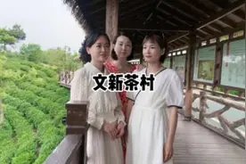 文新茶村   #茶园风光  #美好生活看信阳 #中视频伙伴计划视频封面