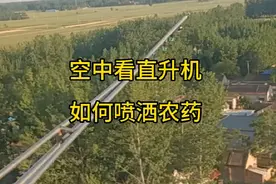 空中看青堌集飞机喷洒农药#现场实拍 #直升机打药视频封面
