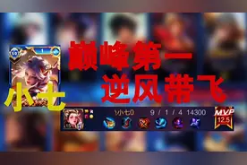 你们见过打野杨玉环上巅峰第一吗？！来看看小七的过人之处！