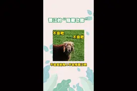 #晋江文学 不会真的有人用了晋江好几年，还不知道这些功能吧#小说 视频封面
