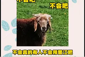 #晋江文学 不会真的有人用了晋江好几年，还不知道这些功能吧#小说 视频封面
