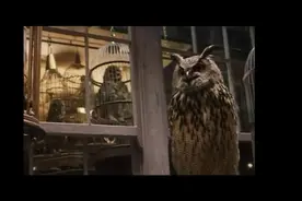 看哈利波特1-8学英语--哈利到了砖墙之后的魔法世界，太惊叹