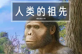 人来来源于古猿，古猿又从何而来？揭秘人类上亿年的进化之路！视频封面